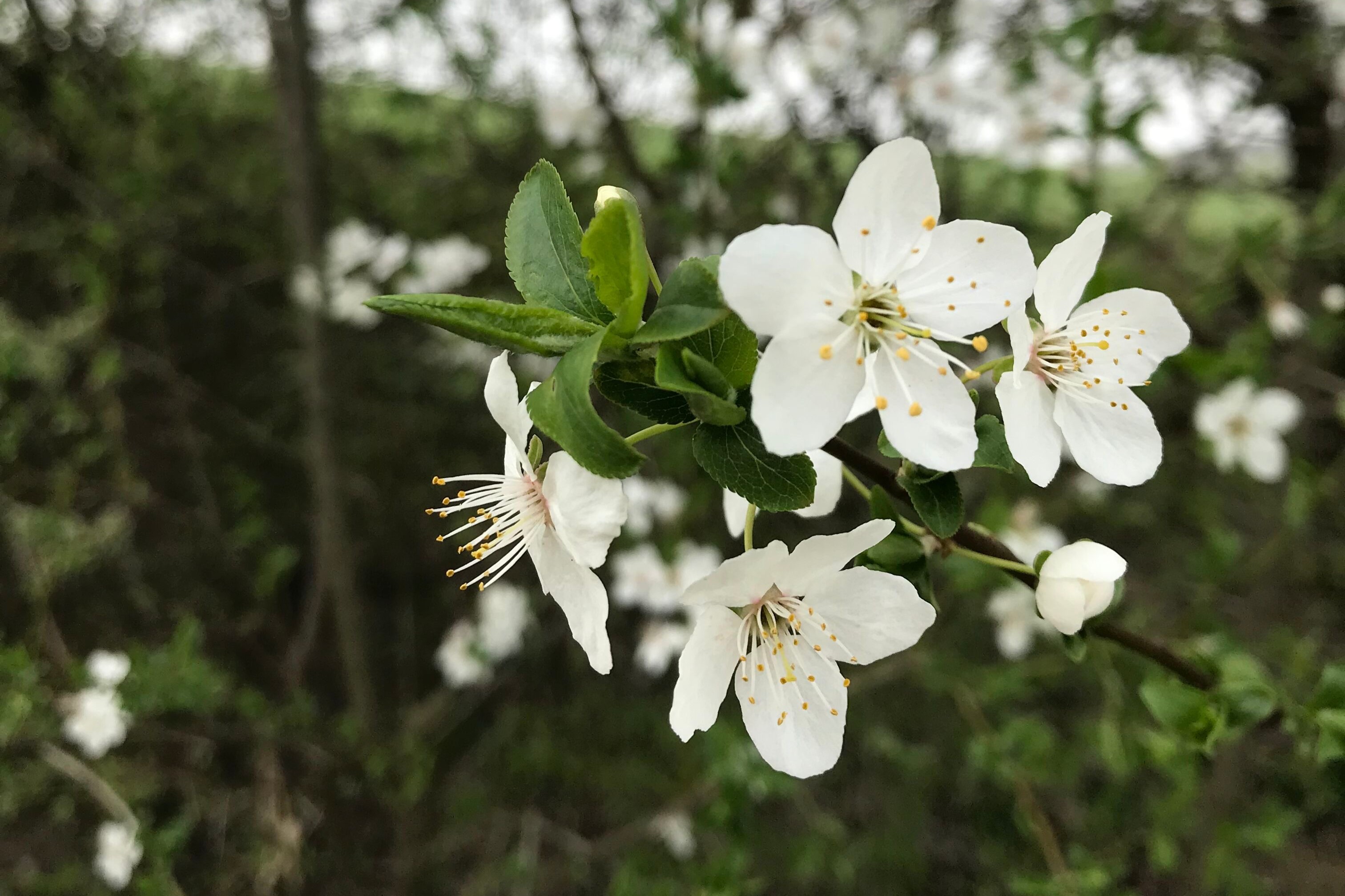 Jarní knižní nadílka 2025