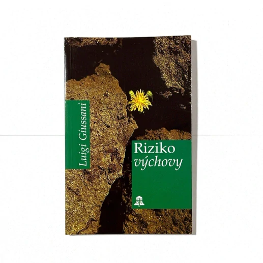 Riziko výchovy