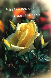 Všechno nejlepší k narozeninám! (SG 111)