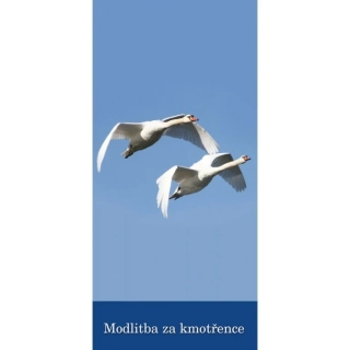 Modlitba za kmotřence (Z 135)