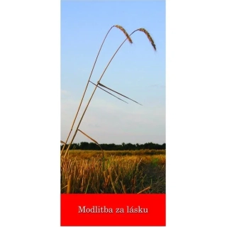 Modlitba za lásku (Z 134)