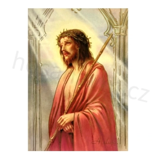 Velikonoční pohled (utrpení)